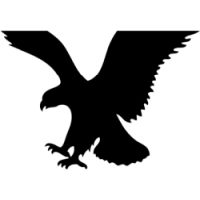 AEO logo