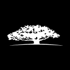 WisdomTree International Al Enhanced Value Fund logo