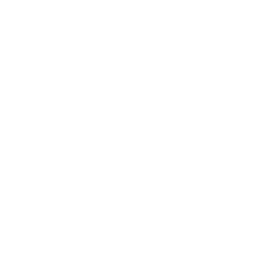 ALPS logo