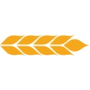 ANDE logo