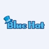 Blue Hat Interactive Entertainment Technology company logo