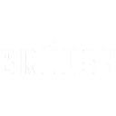 Bruush Oral Care logo