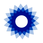 BSIG logo