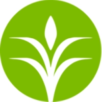 CF logo