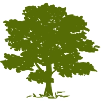 CYH logo