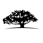 WisdomTree U.S. SmallCap Dividend Fund company logo