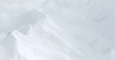 DNLI logo