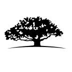 WisdomTree International Dividend ex-Financials Fund logo