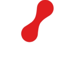 DYN logo