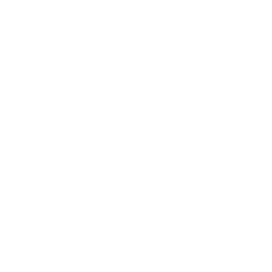 FGI Industries Ordinary Shares logo