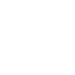 Gorilla Technology logo