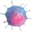 GRTX logo