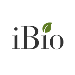 iBio logo