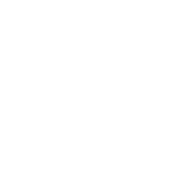 Intelligent Bio Solutions logo