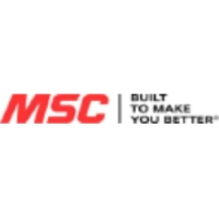 MSM logo