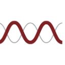 MTEM logo