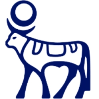 NVO logo
