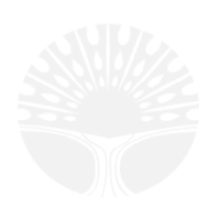 NVOS logo