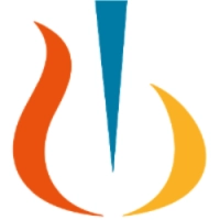 NVS logo
