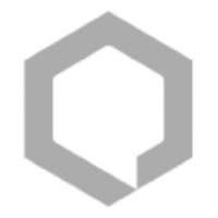 QSI logo