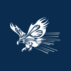 Screaming Eagle Acquisition logo