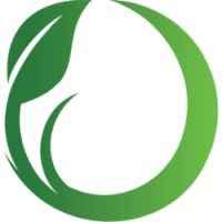 SFM logo
