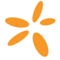 SNN logo
