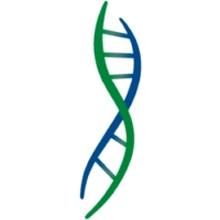 SQL logo