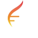 STOK logo