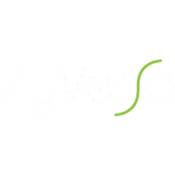 ZyVersa Therapeutics logo